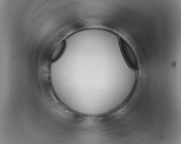 X0000112820905200909181622