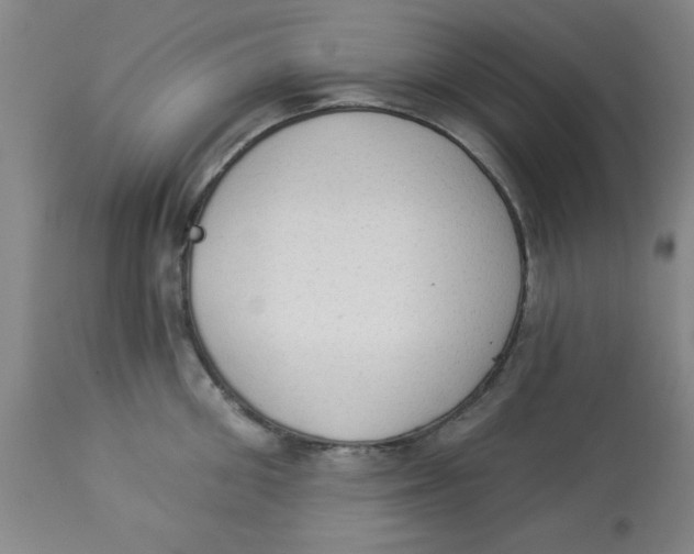 X0000112820906200909181622