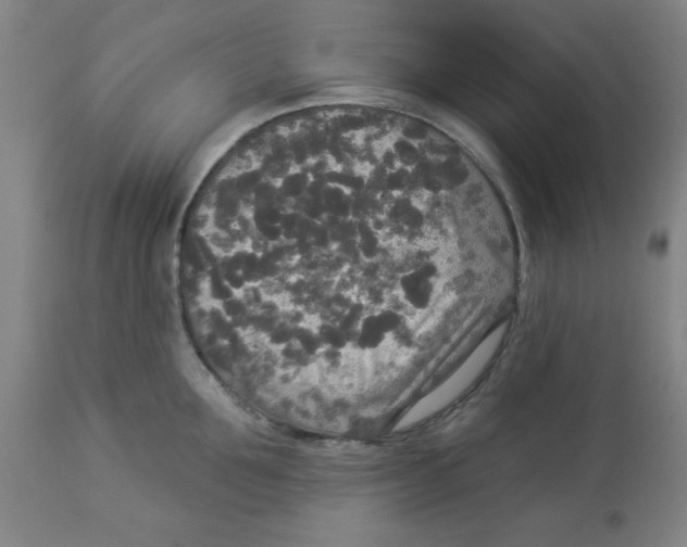 X0000112820907200909181622