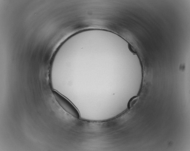 X0000112820908200909181622