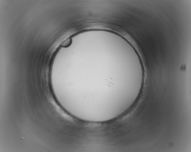 X0000112820909200909181622