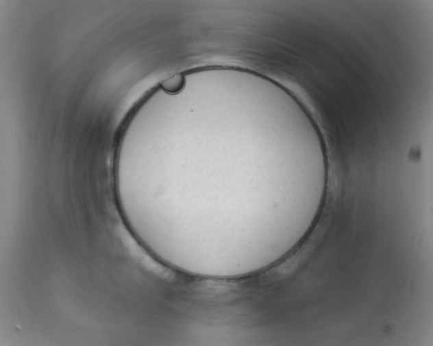 X0000112820910200909181622