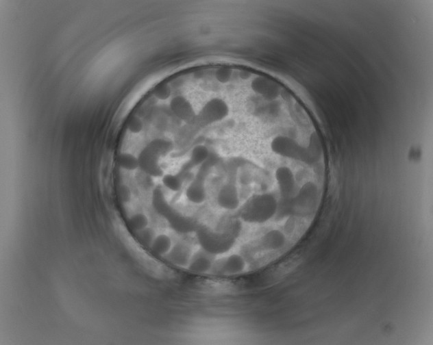 X0000112820911200909181622