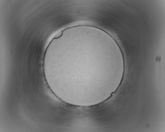 X0000112820912200909181622