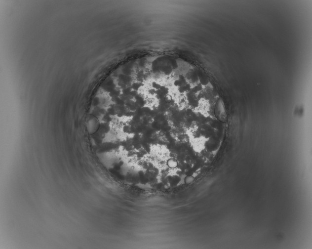 X0000112820913200909181621