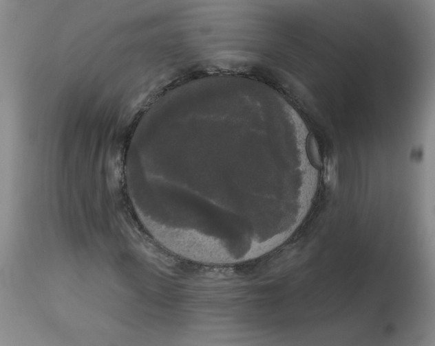 X0000112820915200909181621