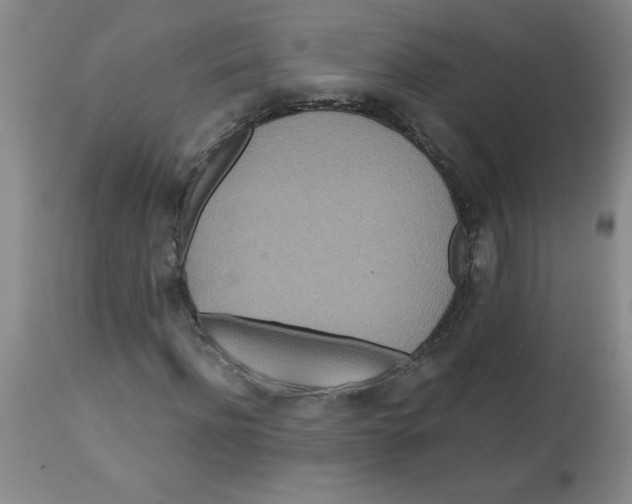 X0000112820916200909181621