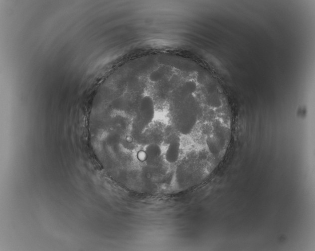 X0000112820917200909181621