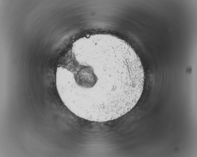 X0000112820918200909181621