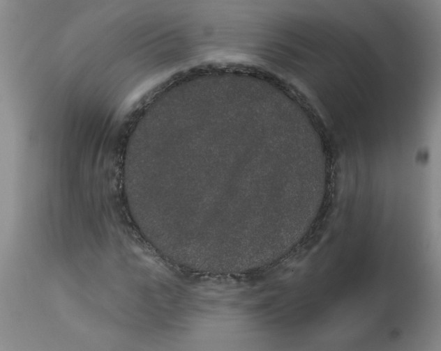 X0000112820919200909181621