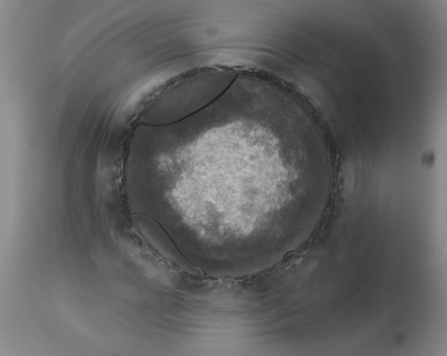 X0000112820920200909181621