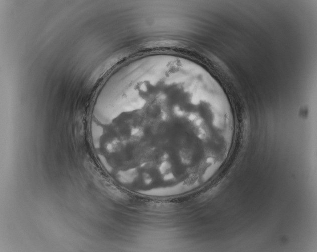 X0000112820921200909181621