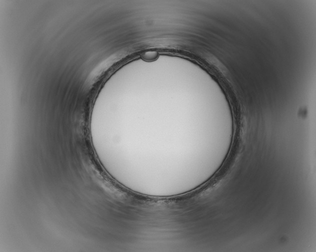 X0000112820922200909181621