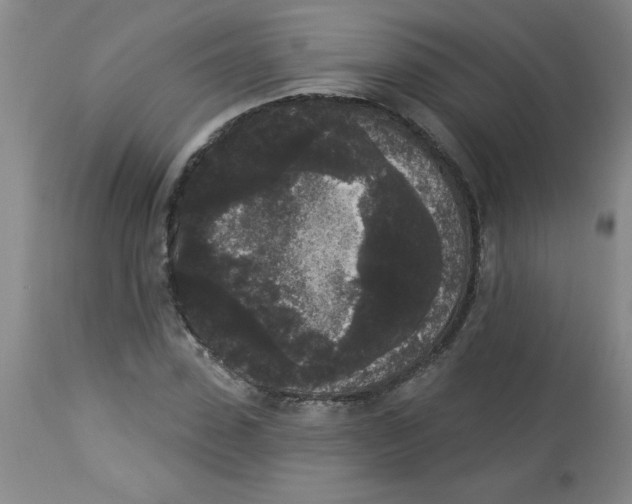 X0000112820923200909181621