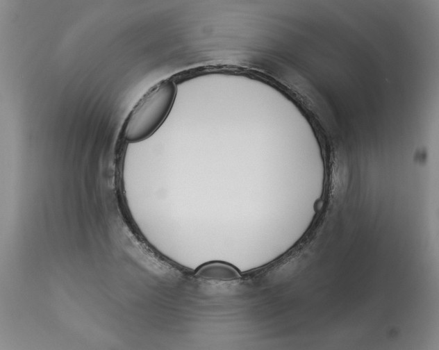 X0000112820924200909181621