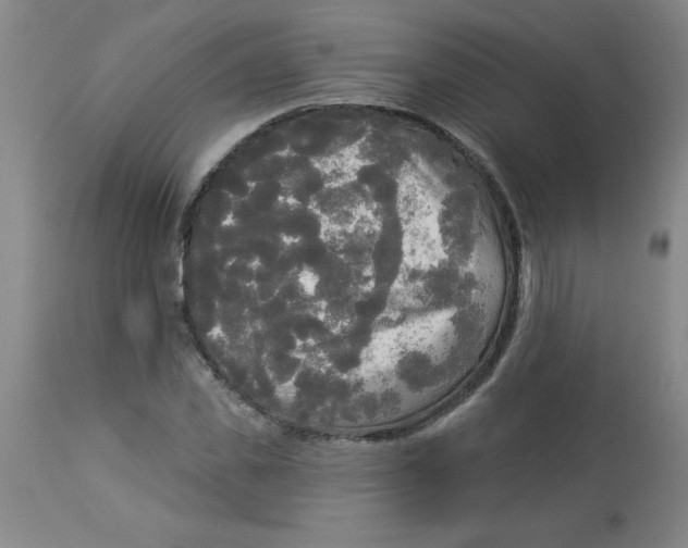 X0000112820925200909181621