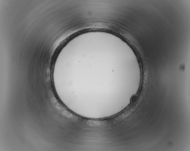 X0000112820928200909181621