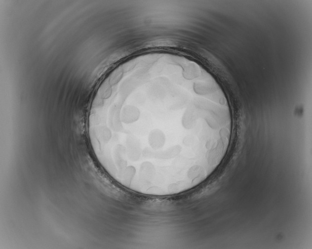 X0000112820929200909181621