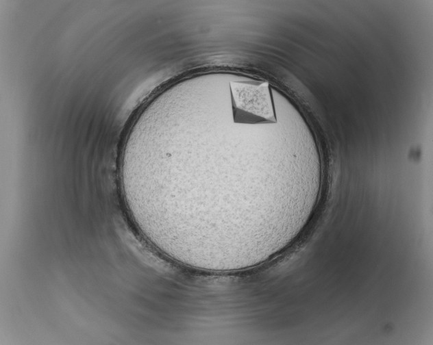 X0000112820930200909181621