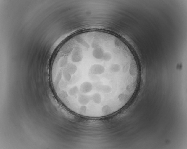 X0000112820933200909181621