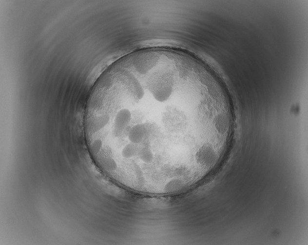 X0000112820937200909181621