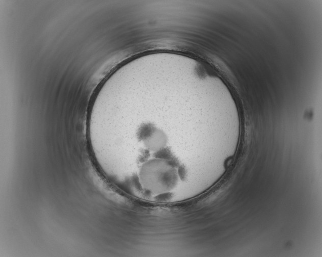 X0000112820938200909181621