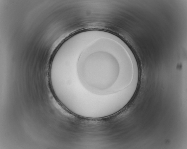 X0000112820941200909181621