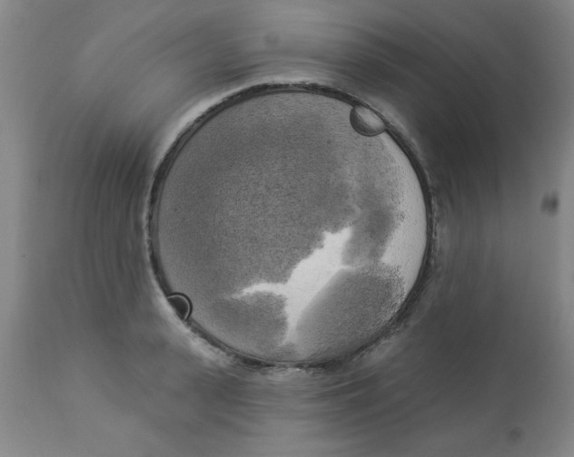 X0000112820943200909181621