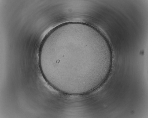 X0000112820944200909181621