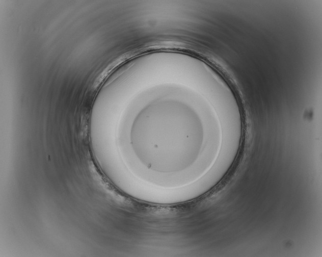 X0000112820945200909181621