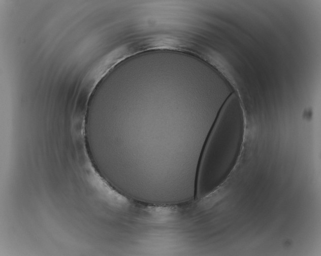 X0000112820946200909181621