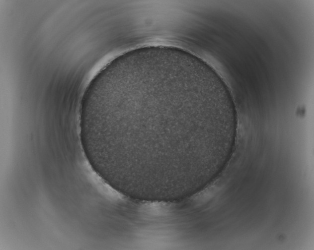 X0000112820950200909181621