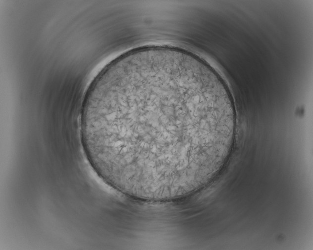 X0000112820951200909181621