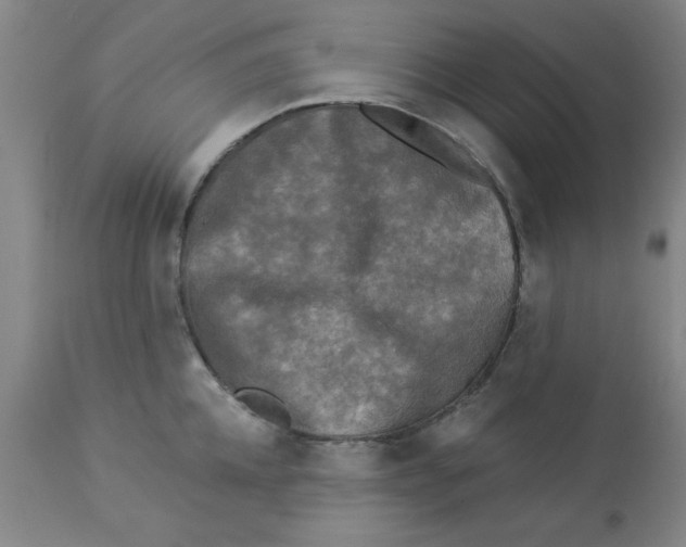 X0000112820952200909181621