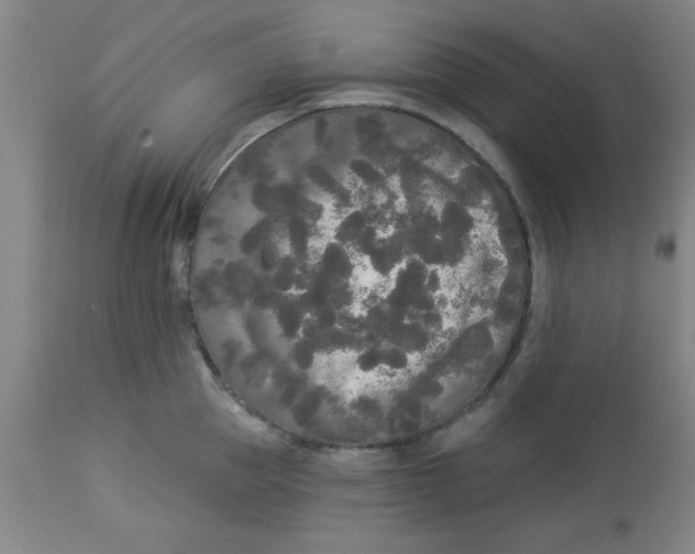 X0000112820953200909181621