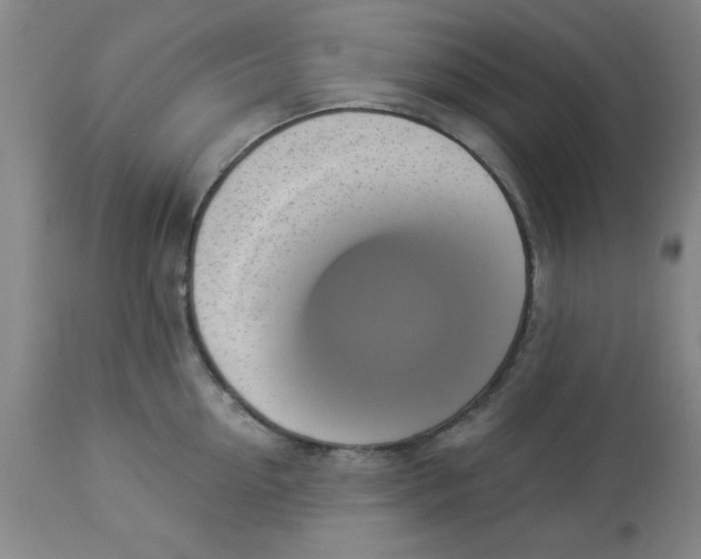 X0000112820954200909181621