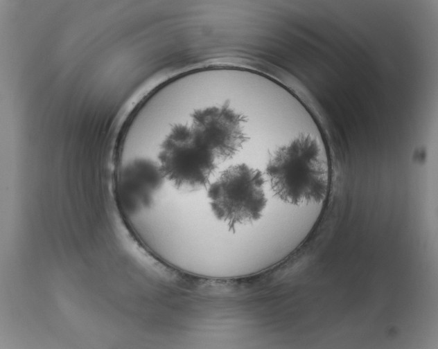 X0000112820955200909181621