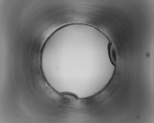 X0000112820956200909181621