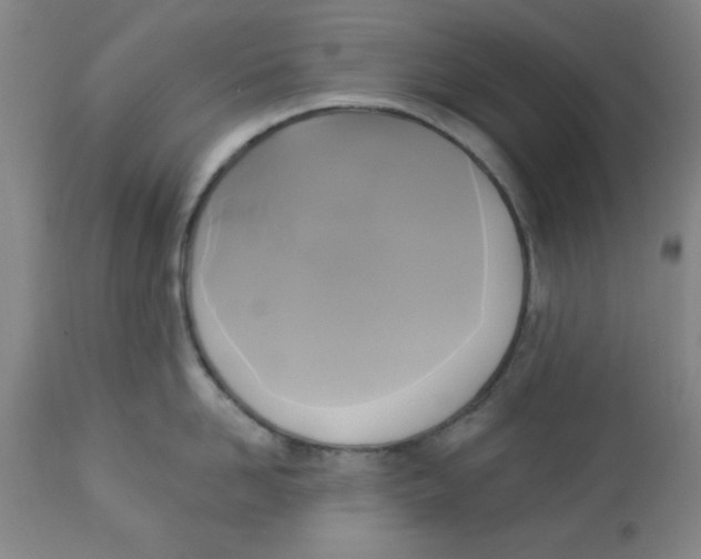 X0000112820958200909181621