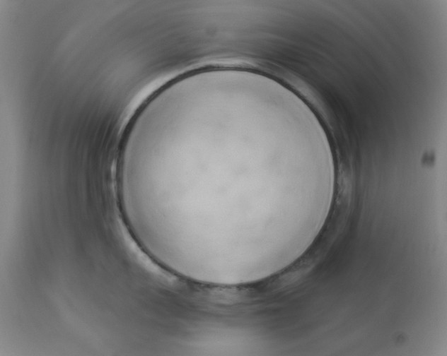 X0000112820959200909181621