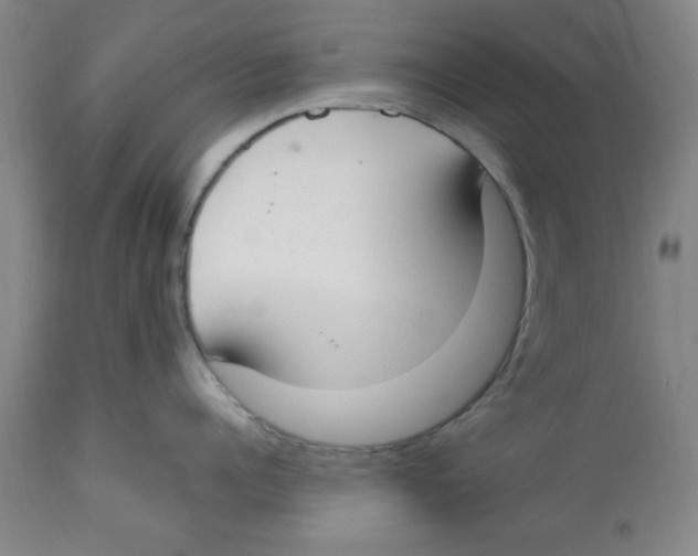 X0000112820960200909181621