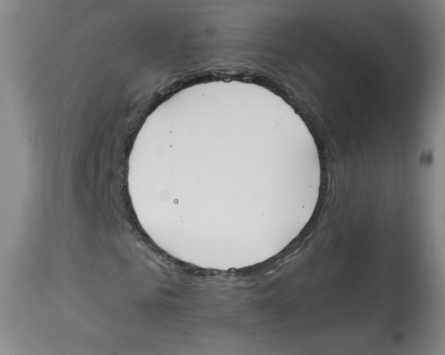 X0000112820961200909181621