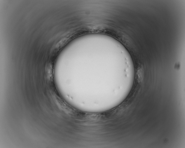 X0000112820963200909181621