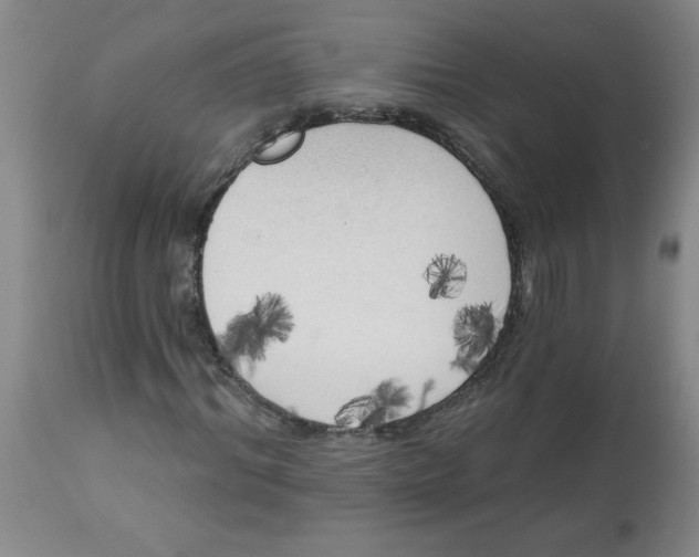 X0000112820964200909181621