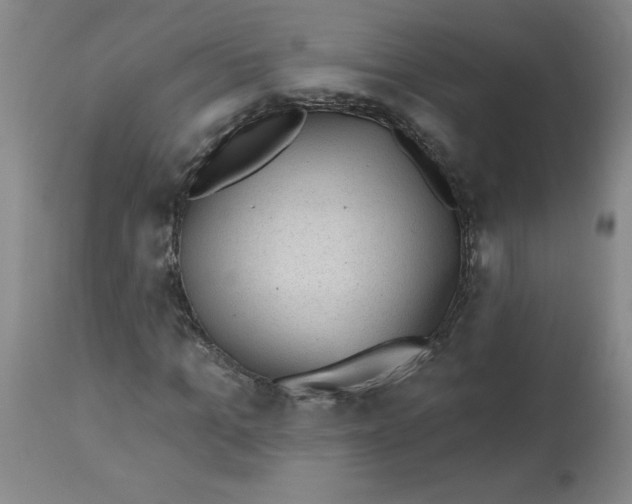 X0000112820965200909181621