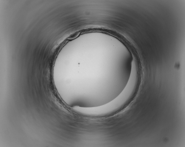 X0000112820969200909181621