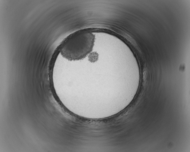 X0000112820972200909181621