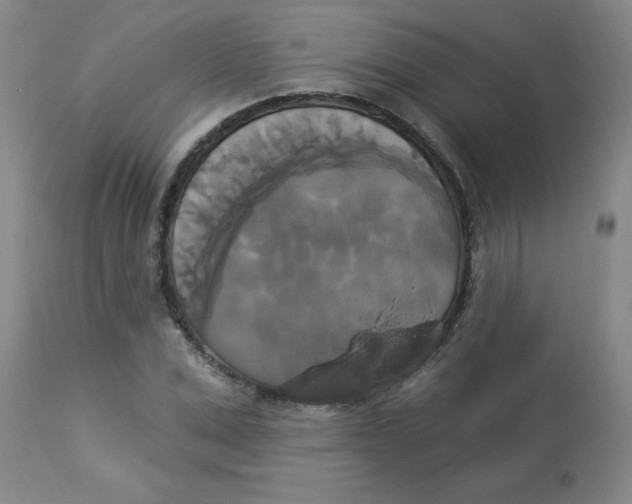 X0000112820975200909181621