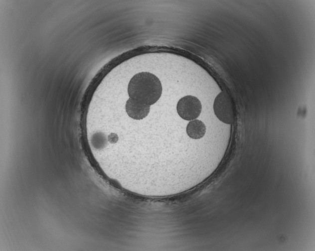 X0000112820976200909181621