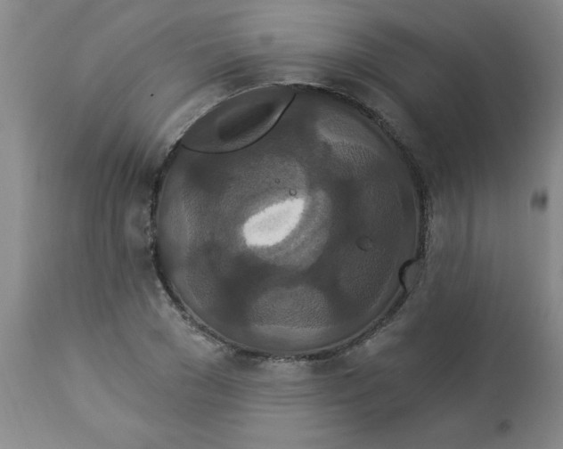 X0000112820977200909181621